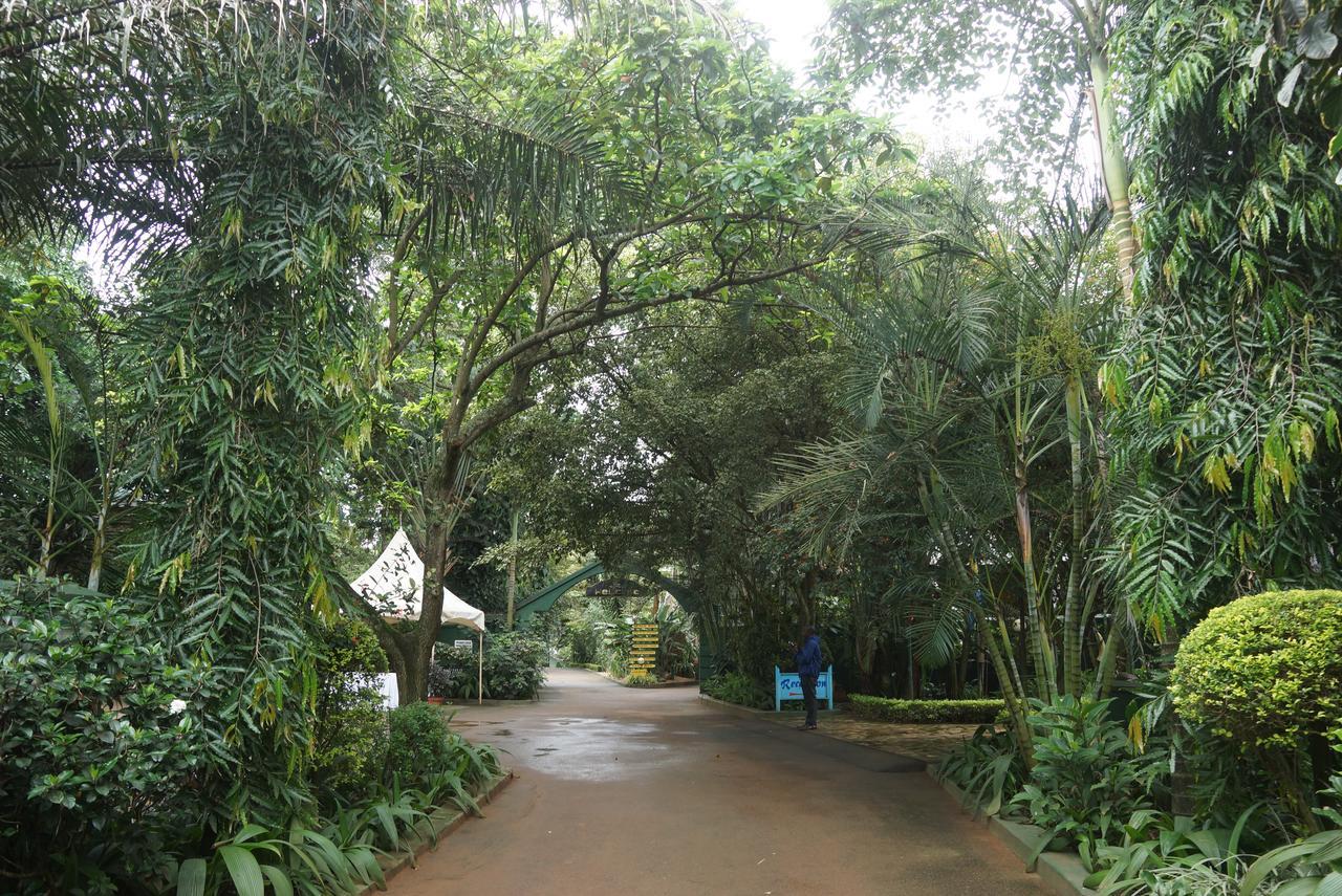 Country Lake Resort Garuga Entebbe Dış mekan fotoğraf